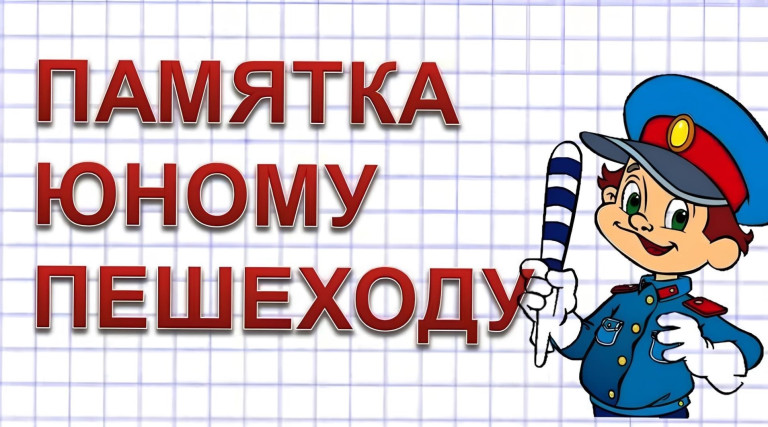 инспектор дорожного движения