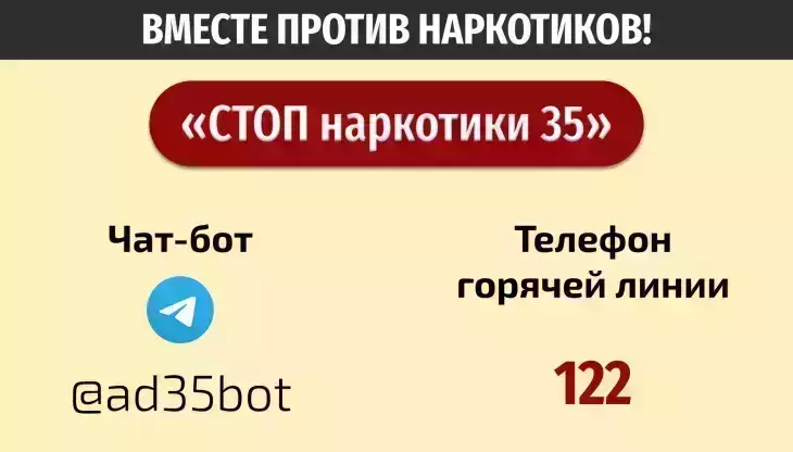 Чат-бот и горячая линия
