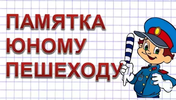 инспектор дорожного движения